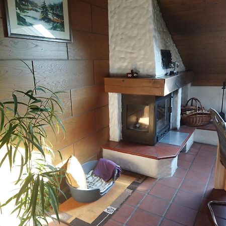 Aussergewoehnliche Atelierferienwohnung Mit Balkon An Der Donau Winzer Dış mekan fotoğraf