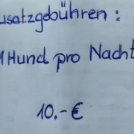 Aussergewoehnliche Atelierferienwohnung Mit Balkon An Der Donau Winzer Dış mekan fotoğraf