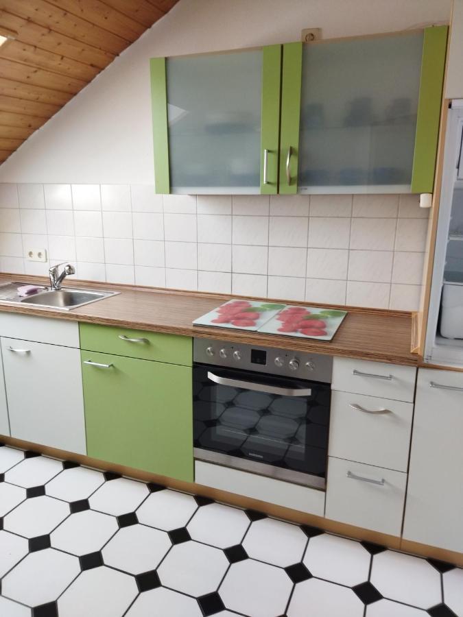 Aussergewoehnliche Atelierferienwohnung Mit Balkon An Der Donau Winzer Dış mekan fotoğraf