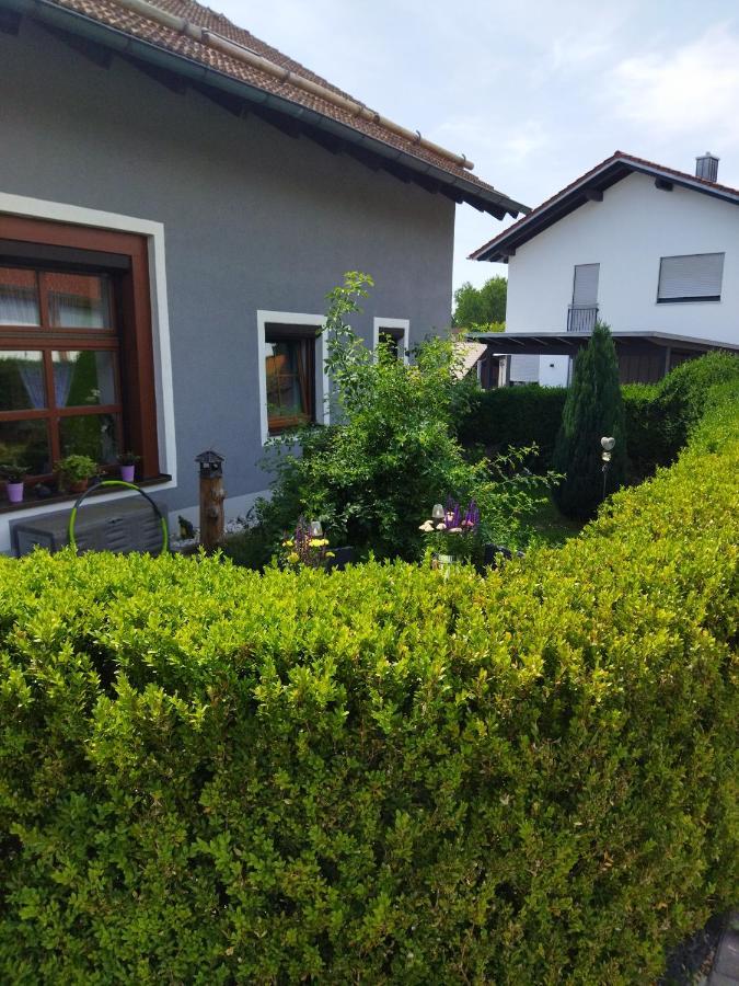 Aussergewoehnliche Atelierferienwohnung Mit Balkon An Der Donau Winzer Dış mekan fotoğraf