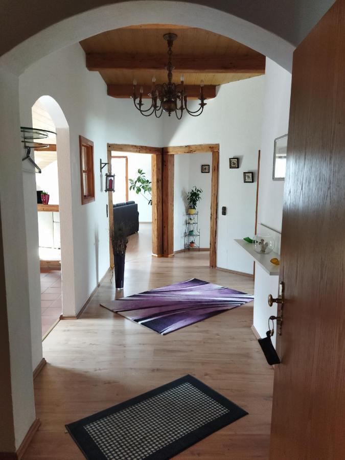 Aussergewoehnliche Atelierferienwohnung Mit Balkon An Der Donau Winzer Dış mekan fotoğraf