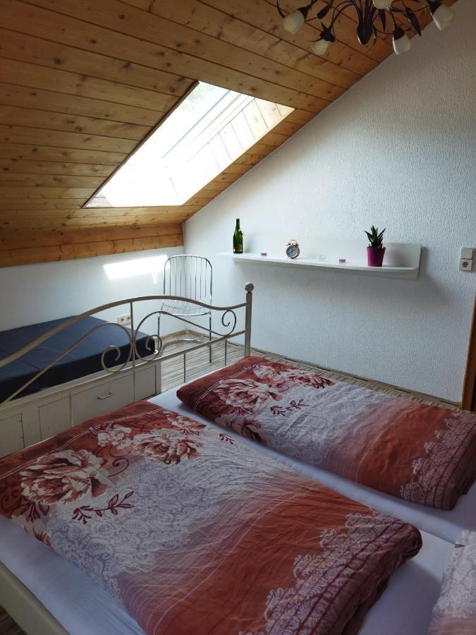 Aussergewoehnliche Atelierferienwohnung Mit Balkon An Der Donau Winzer Dış mekan fotoğraf
