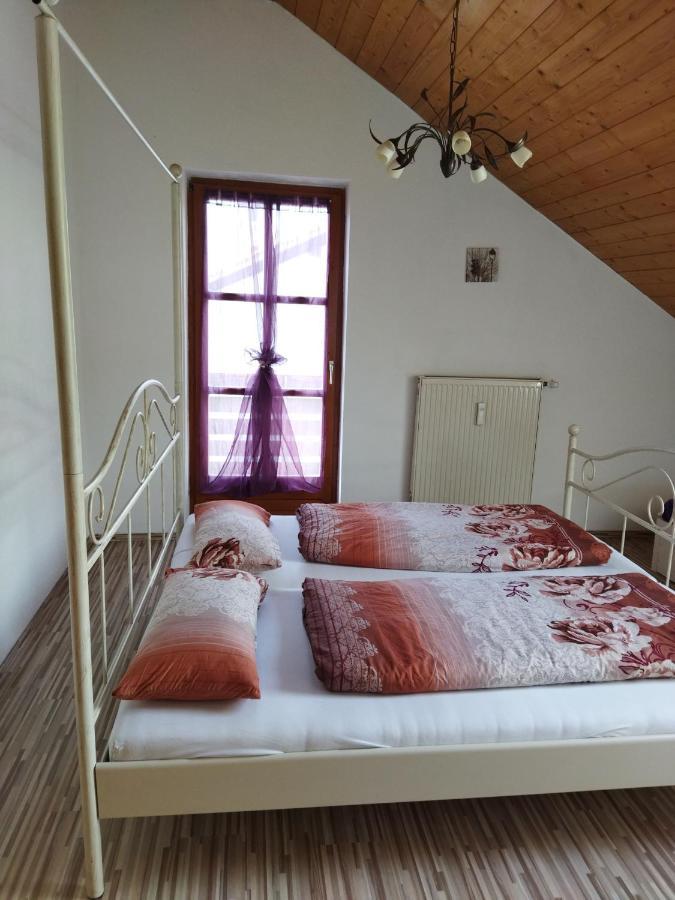 Aussergewoehnliche Atelierferienwohnung Mit Balkon An Der Donau Winzer Dış mekan fotoğraf