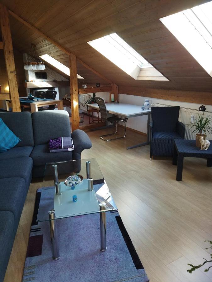 Aussergewoehnliche Atelierferienwohnung Mit Balkon An Der Donau Winzer Dış mekan fotoğraf