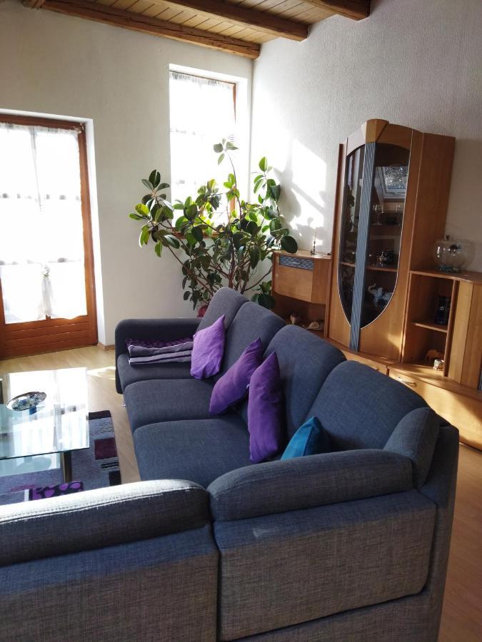 Aussergewoehnliche Atelierferienwohnung Mit Balkon An Der Donau Winzer Dış mekan fotoğraf