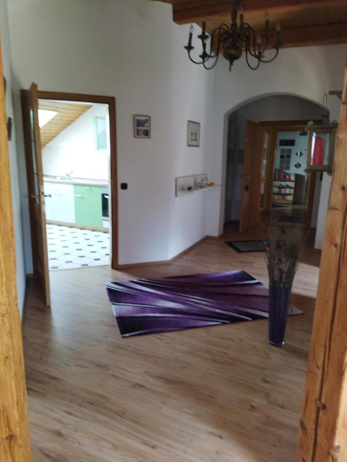 Aussergewoehnliche Atelierferienwohnung Mit Balkon An Der Donau Winzer Dış mekan fotoğraf