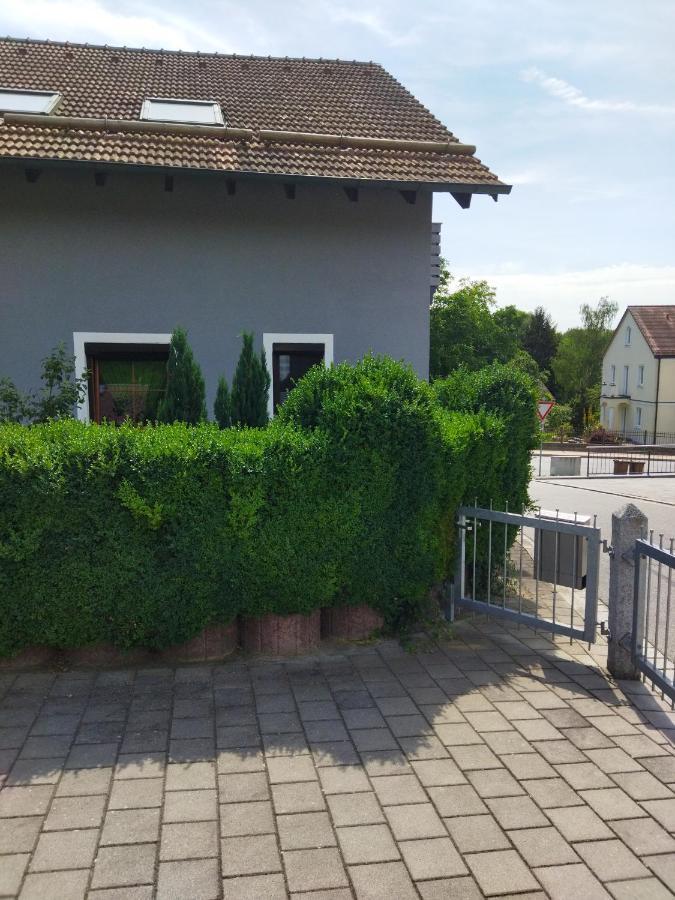 Aussergewoehnliche Atelierferienwohnung Mit Balkon An Der Donau Winzer Dış mekan fotoğraf