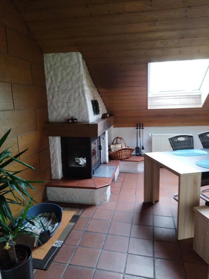 Aussergewoehnliche Atelierferienwohnung Mit Balkon An Der Donau Winzer Dış mekan fotoğraf