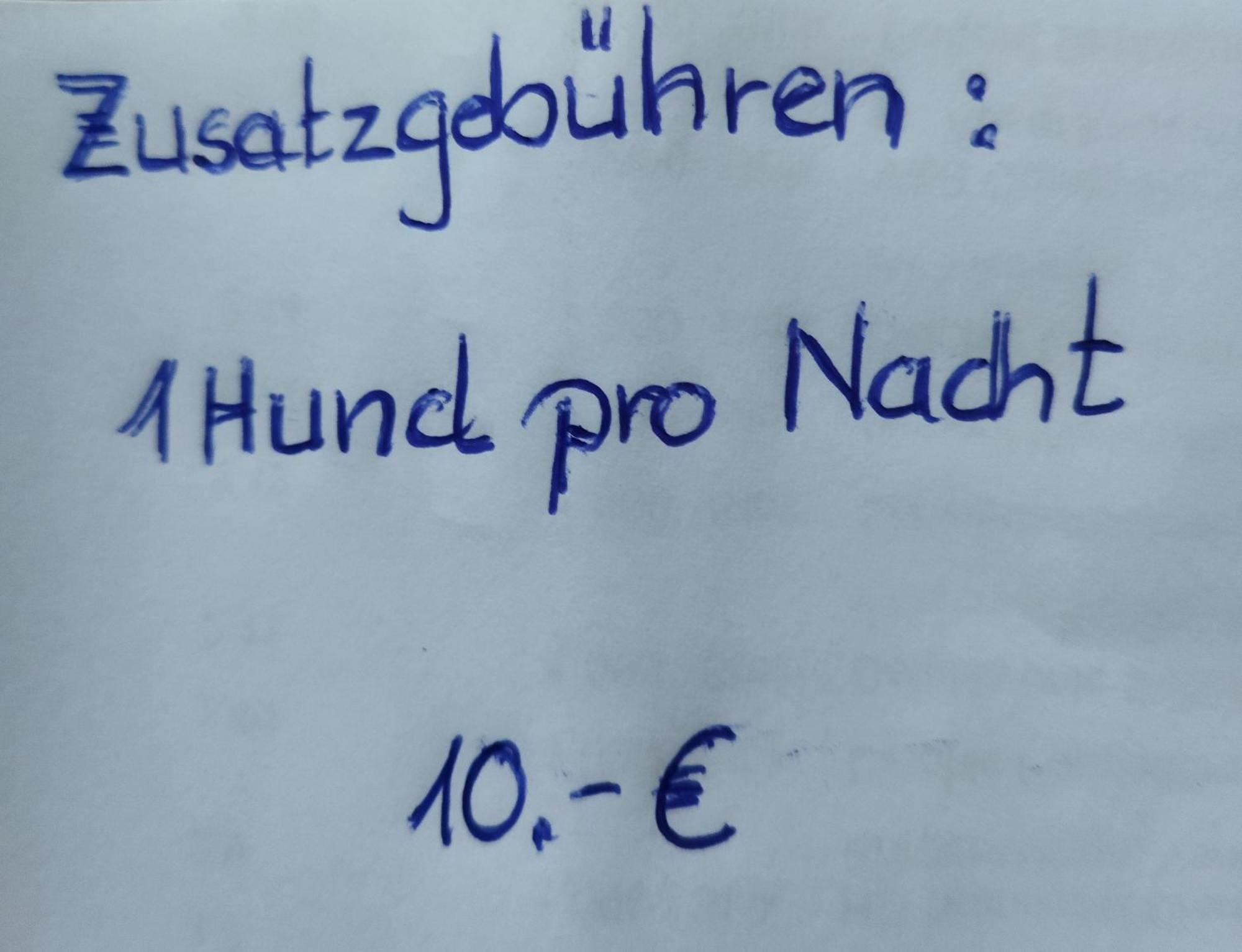 Aussergewoehnliche Atelierferienwohnung Mit Balkon An Der Donau Winzer Dış mekan fotoğraf